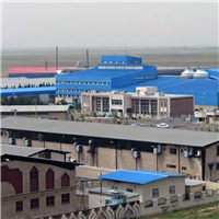 درباره شرکت